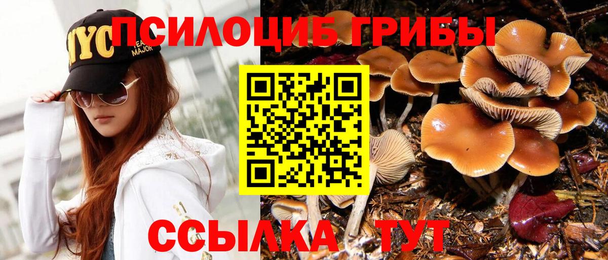 Галлюциногенные грибы Cubensis  Вход с VPN  Карасук 